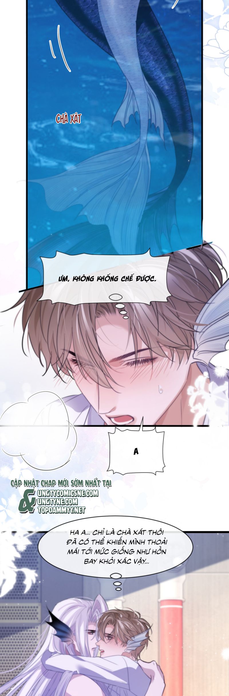 Desharow Nhân Ngư Chap 91 - Next Chap 92
