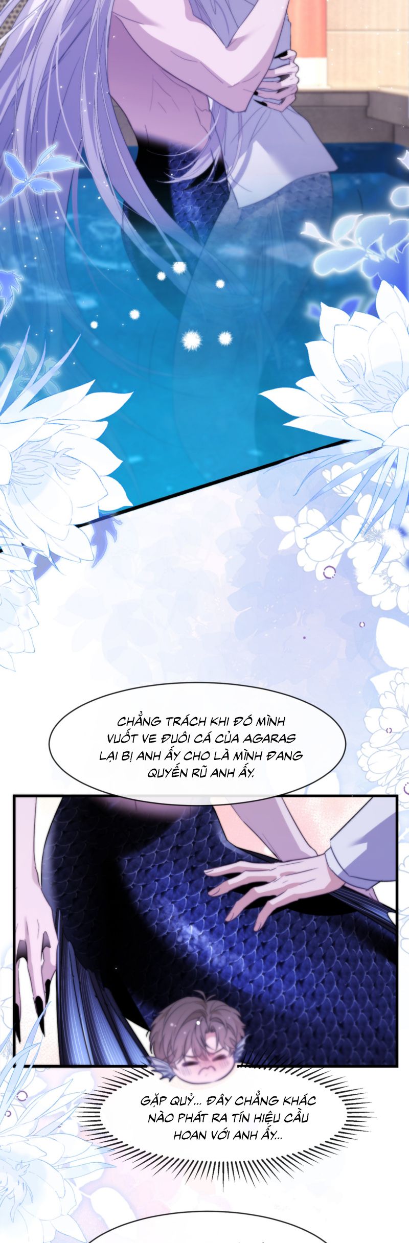 Desharow Nhân Ngư Chap 91 - Next Chap 92