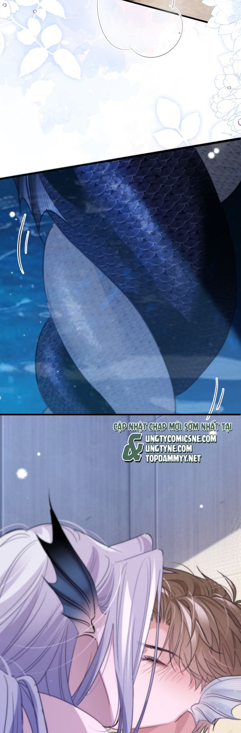 Desharow Nhân Ngư Chap 91 - Next Chap 92
