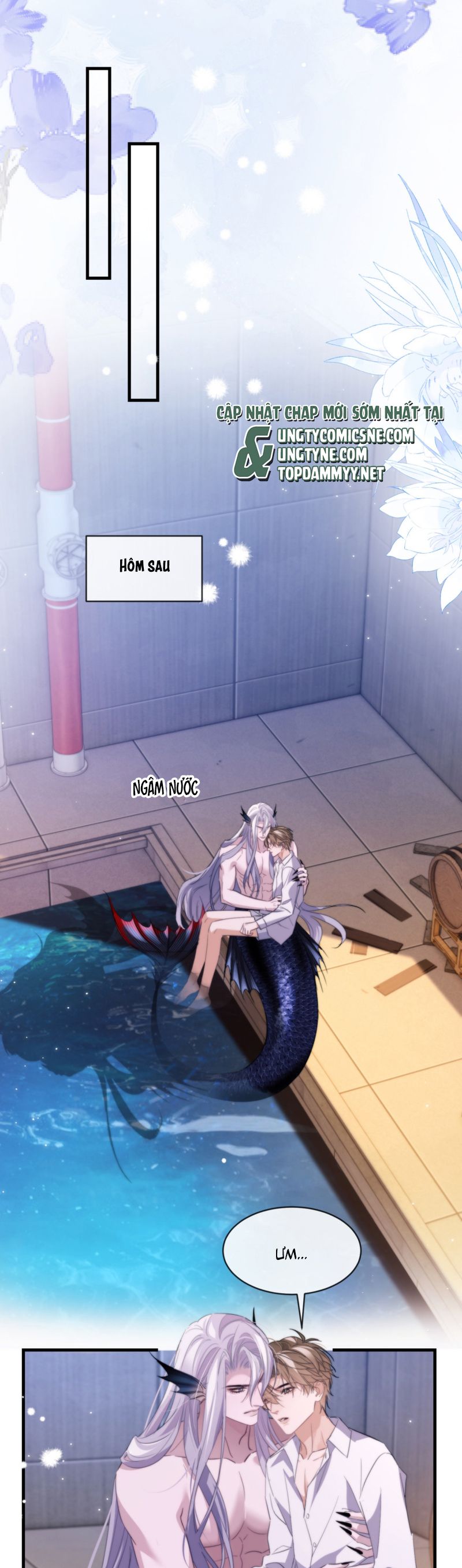 Desharow Nhân Ngư Chap 91 - Next Chap 92