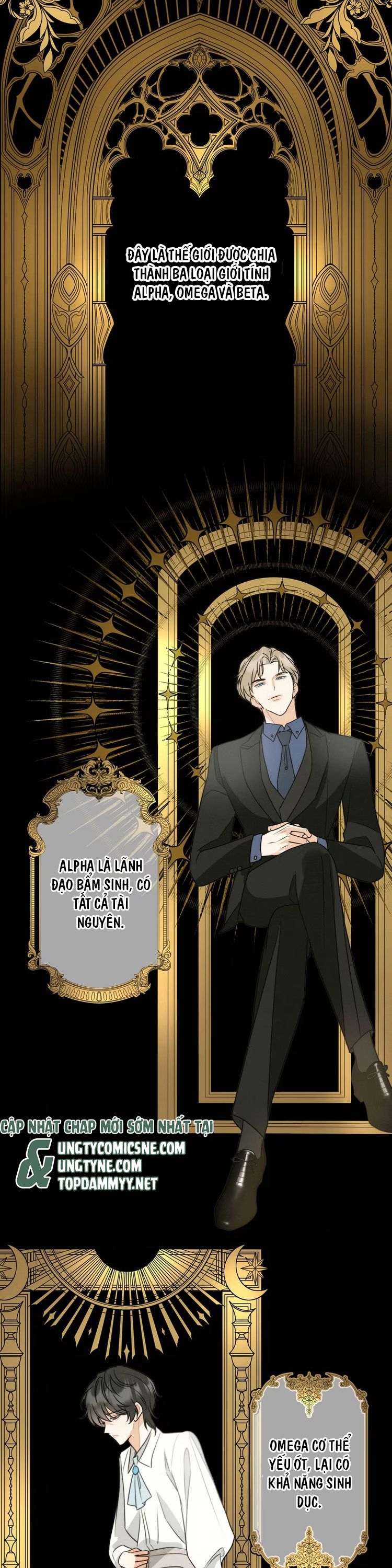 Xuyên Thành Con Ngỗng Vàng Của Đại Lão Alpha Chap 2 - Next Chap 3