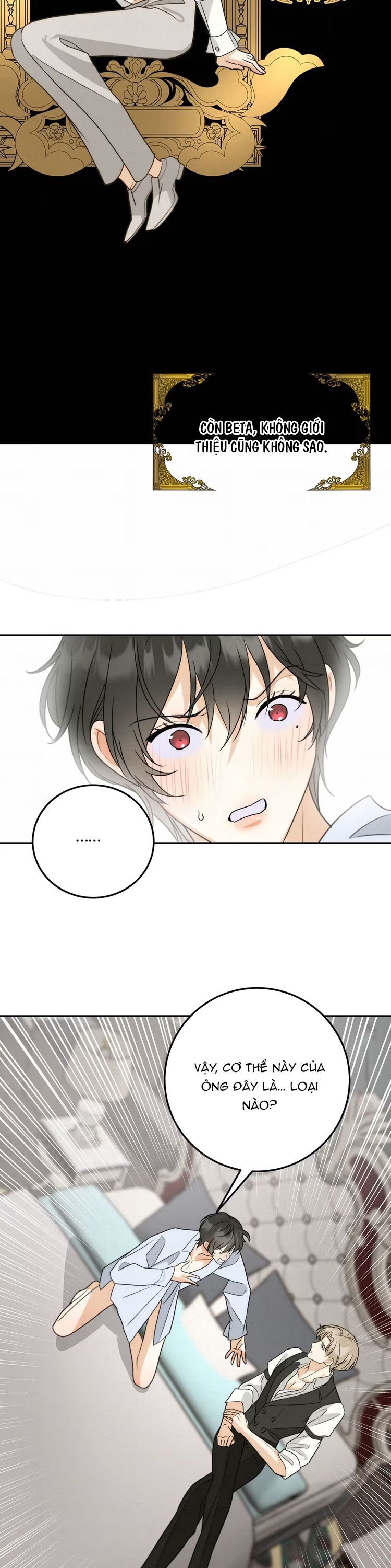 Xuyên Thành Con Ngỗng Vàng Của Đại Lão Alpha Chap 2 - Next Chap 3