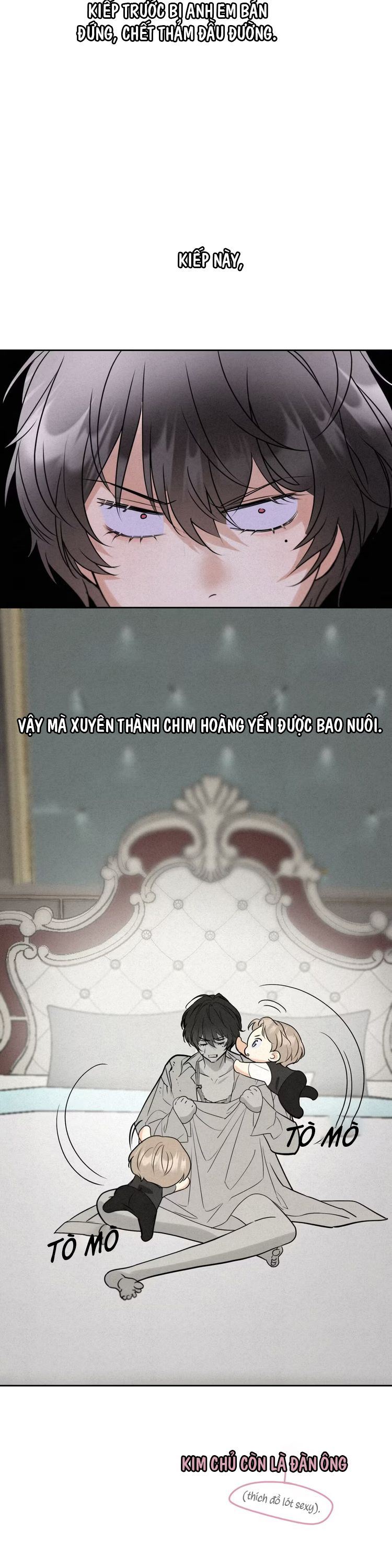 Xuyên Thành Con Ngỗng Vàng Của Đại Lão Alpha Chap 2 - Next Chap 3