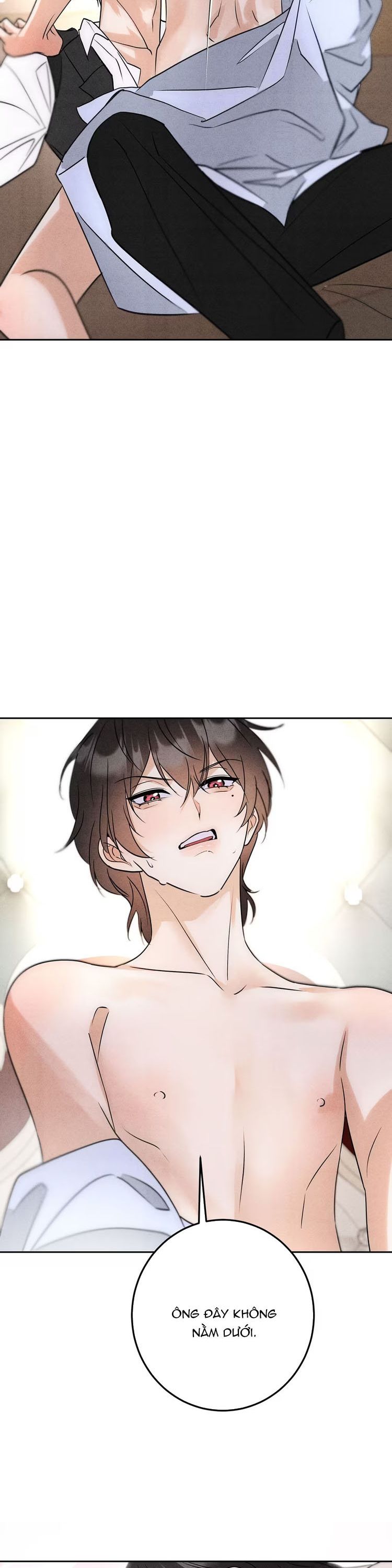 Xuyên Thành Con Ngỗng Vàng Của Đại Lão Alpha Chap 3 - Next Chap 4