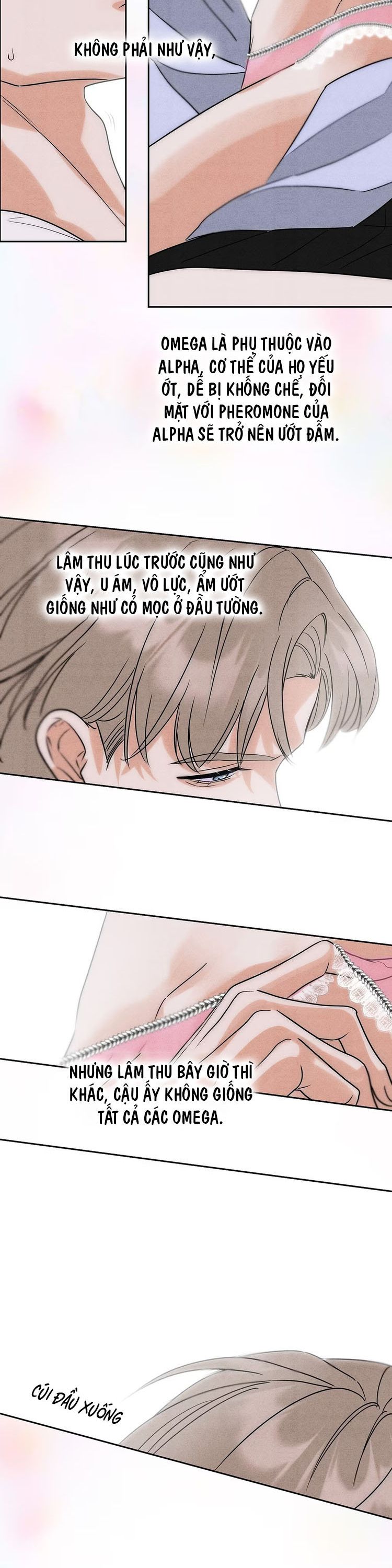 Xuyên Thành Con Ngỗng Vàng Của Đại Lão Alpha Chap 3 - Next Chap 4