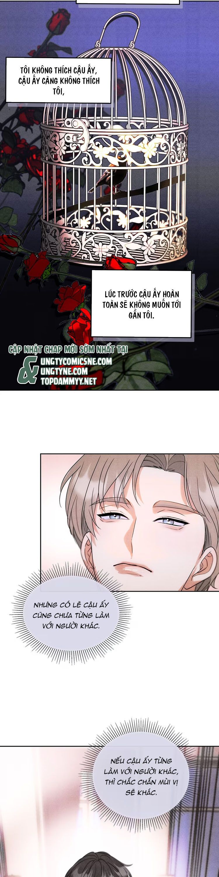 Xuyên Thành Con Ngỗng Vàng Của Đại Lão Alpha Chap 3 - Next Chap 4