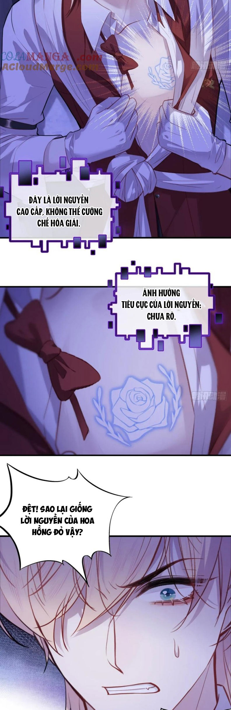 Anh Ấy Chưa Từng Rơi Xuống Chapter 121 - Next Chapter 122