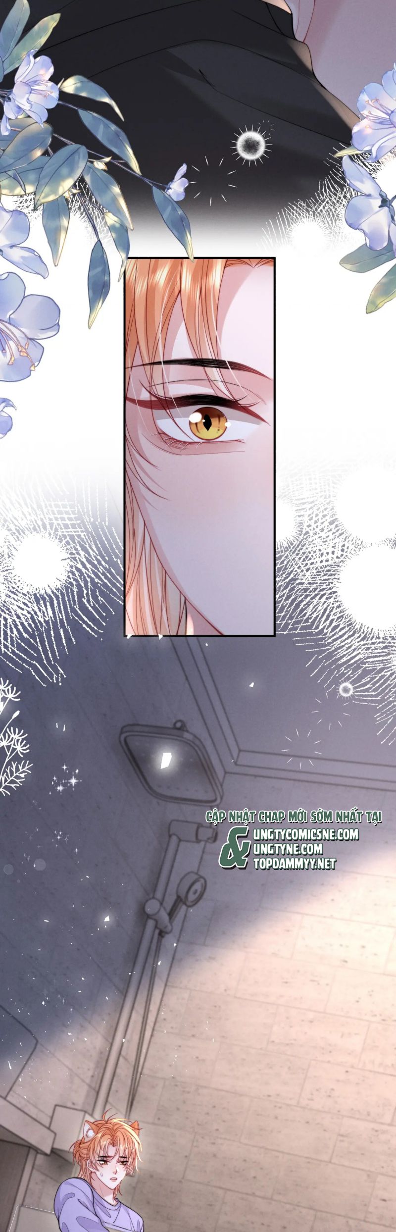 Tật Xấu Nuông Chiều Chap 39 - Trang 4