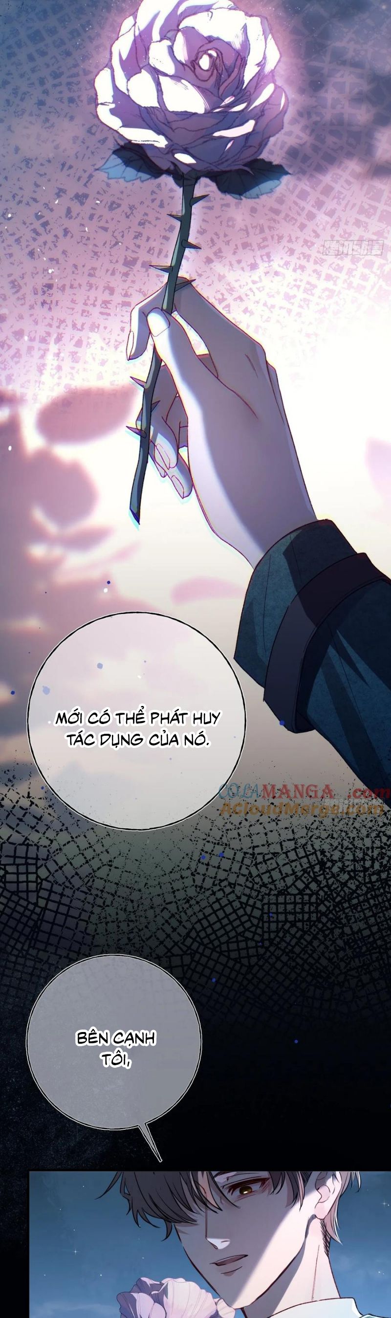 Yêu Đến Hủy Diệt Chapter 19 - Next Chap 20