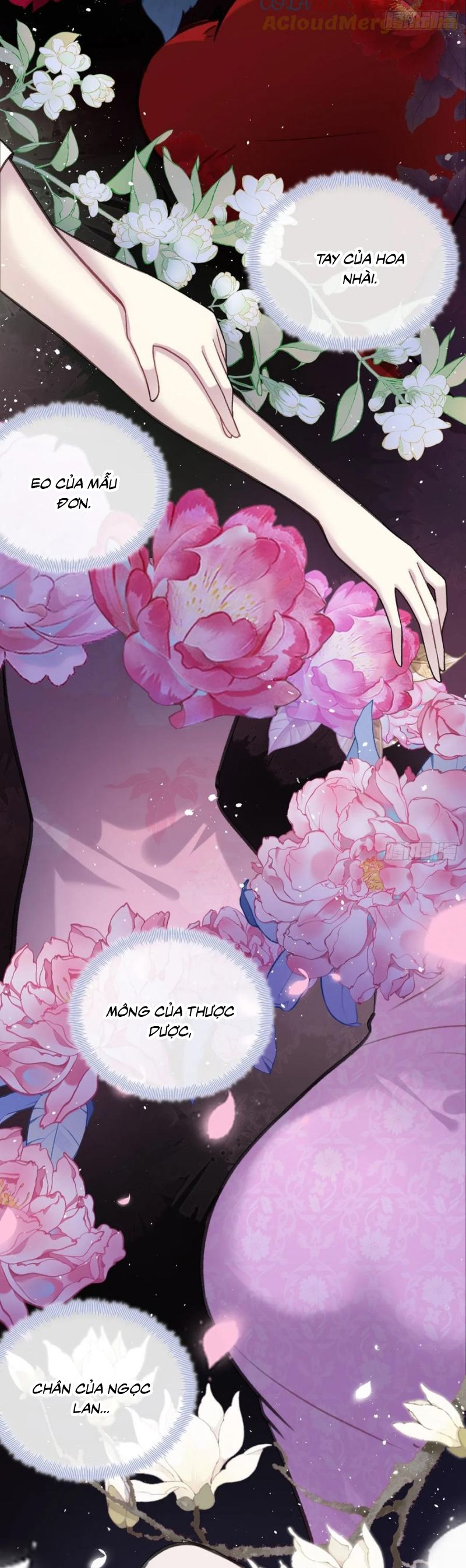 Anh Ấy Chưa Từng Rơi Xuống Chapter 122 - Next Chap 123