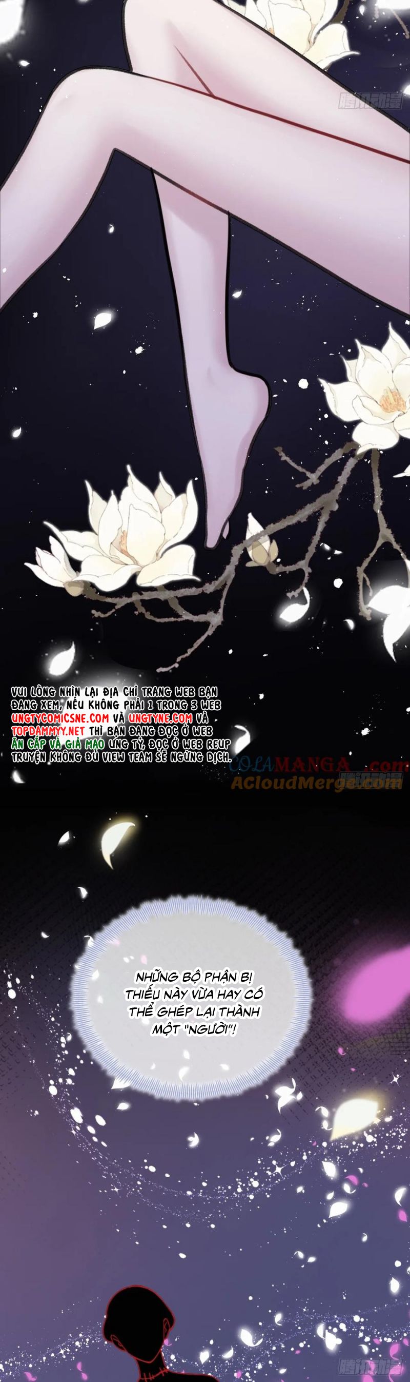 Anh Ấy Chưa Từng Rơi Xuống Chapter 122 - Next Chap 123