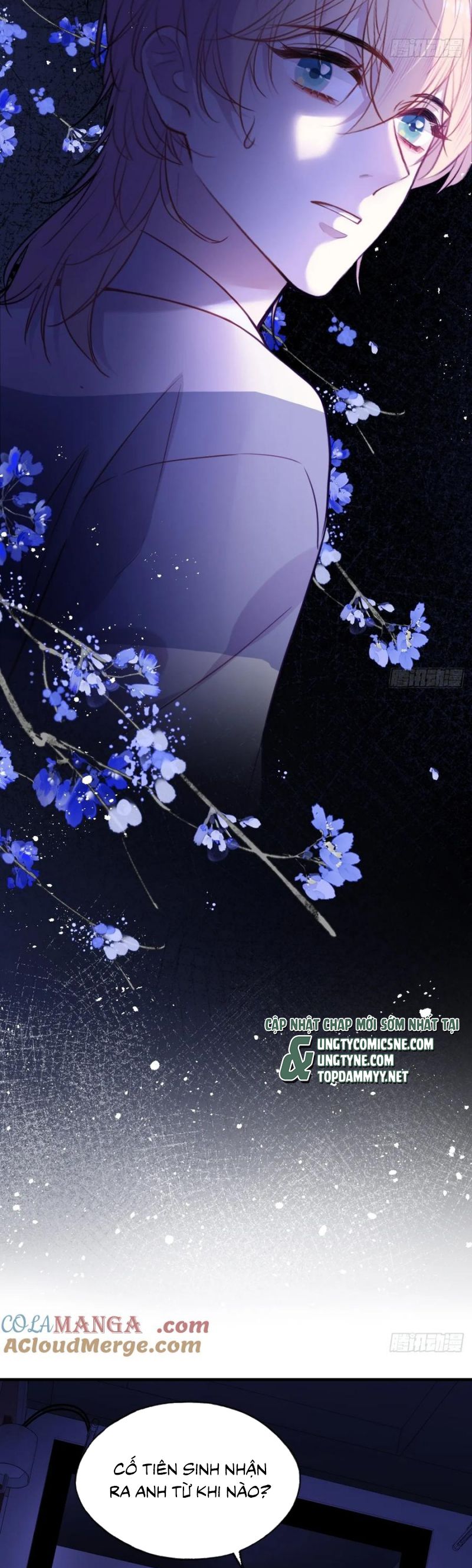 Anh Ấy Chưa Từng Rơi Xuống Chapter 122 - Next Chap 123