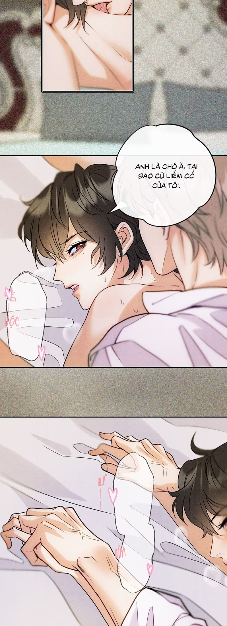 Xuyên Thành Con Ngỗng Vàng Của Đại Lão Alpha Chap 8 - Next Chap 9