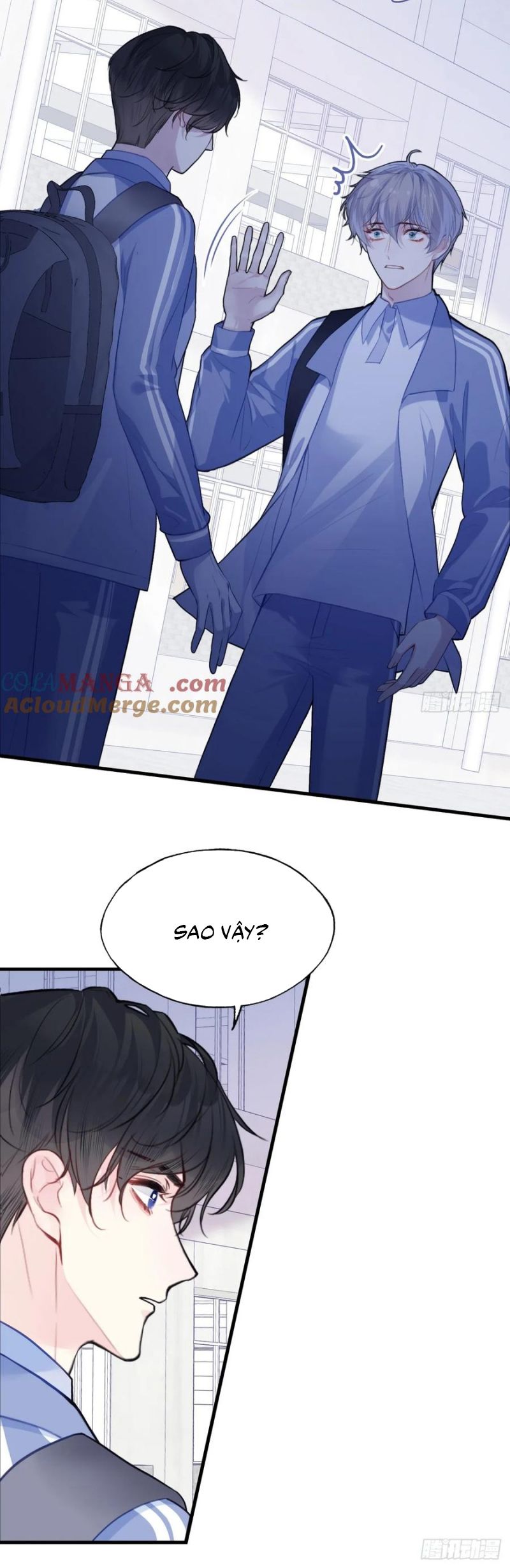 Anh Ấy Chưa Từng Rơi Xuống Chap 125 - Next Chap 126
