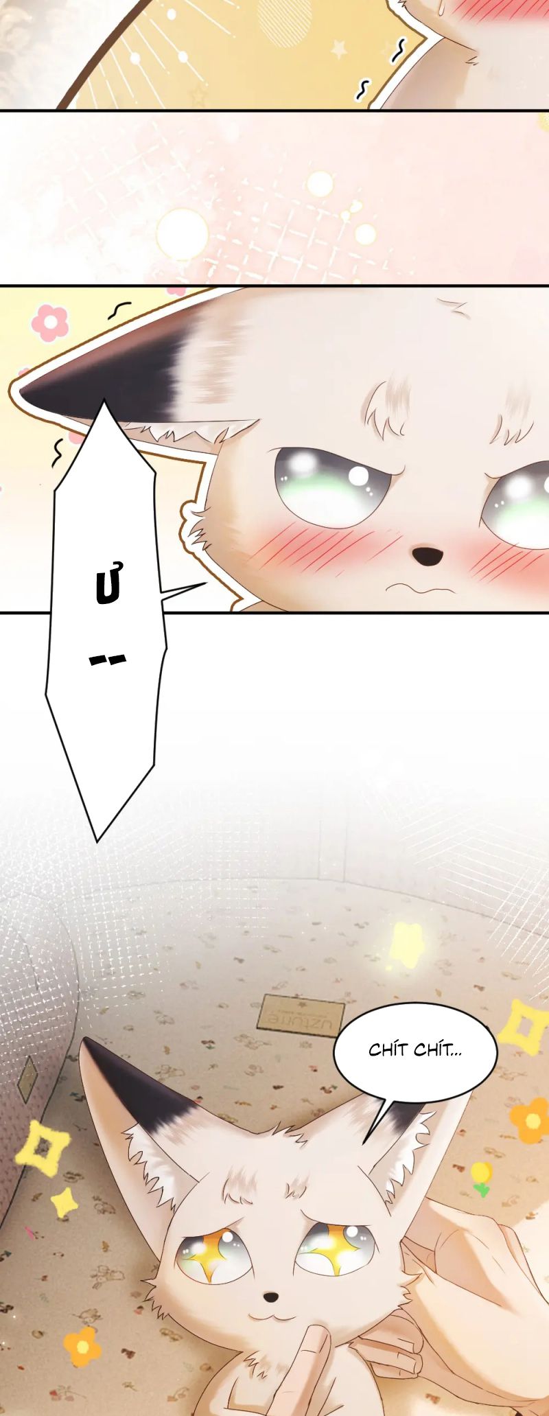 Tiểu Thiếu Gia Dựa Vào Mỹ Mạo Hoành Hành Toàn Hệ Thống Chap 82 - Next Chap 83