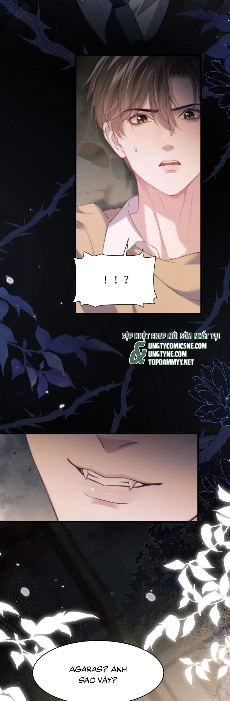 Desharow Nhân Ngư Chap 99 - Next Chap 100