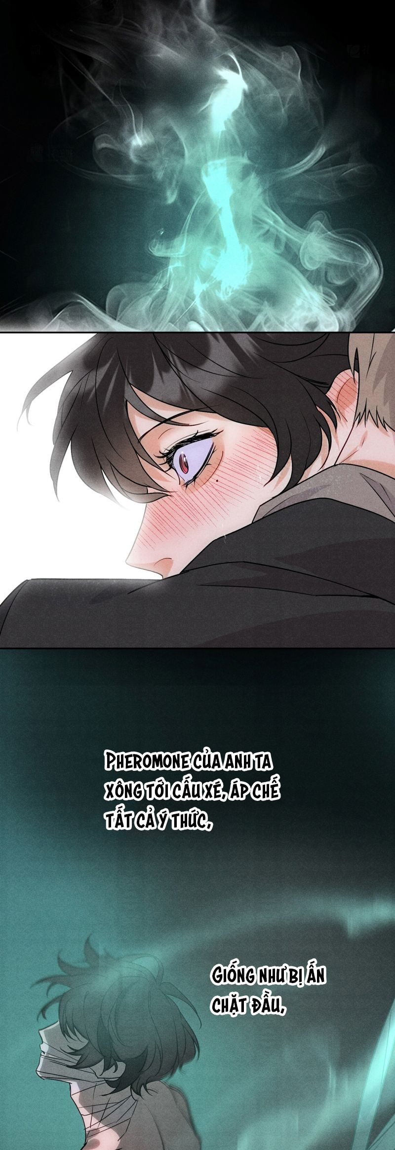 Xuyên Thành Con Ngỗng Vàng Của Đại Lão Alpha Chap 10 - Next Chap 11