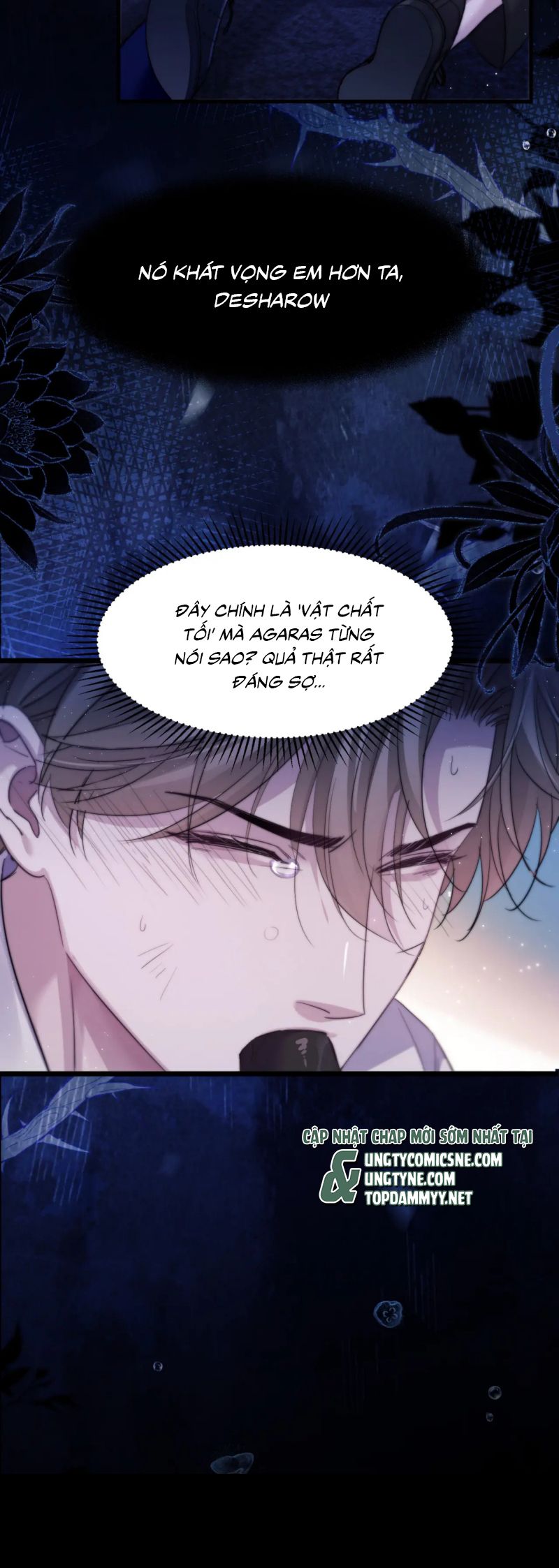 Desharow Nhân Ngư Chap 101 - Next Chap 102