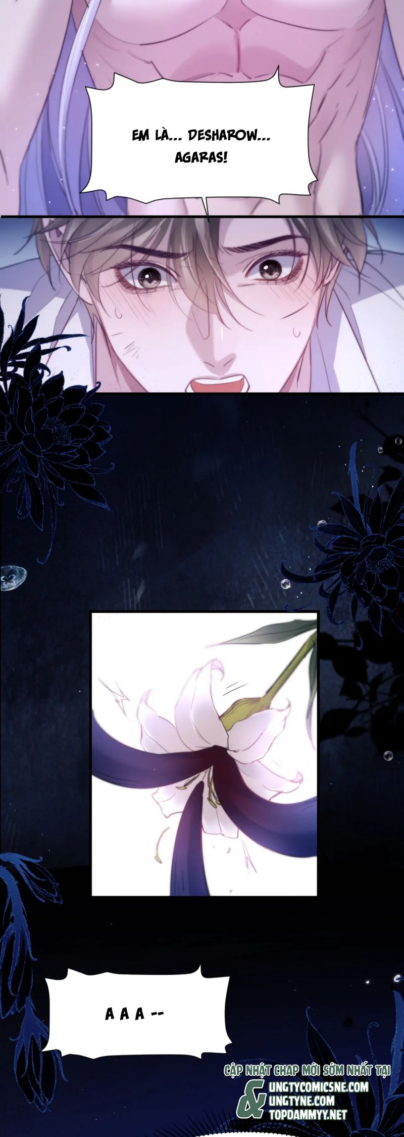 Desharow Nhân Ngư Chap 101 - Next Chap 102