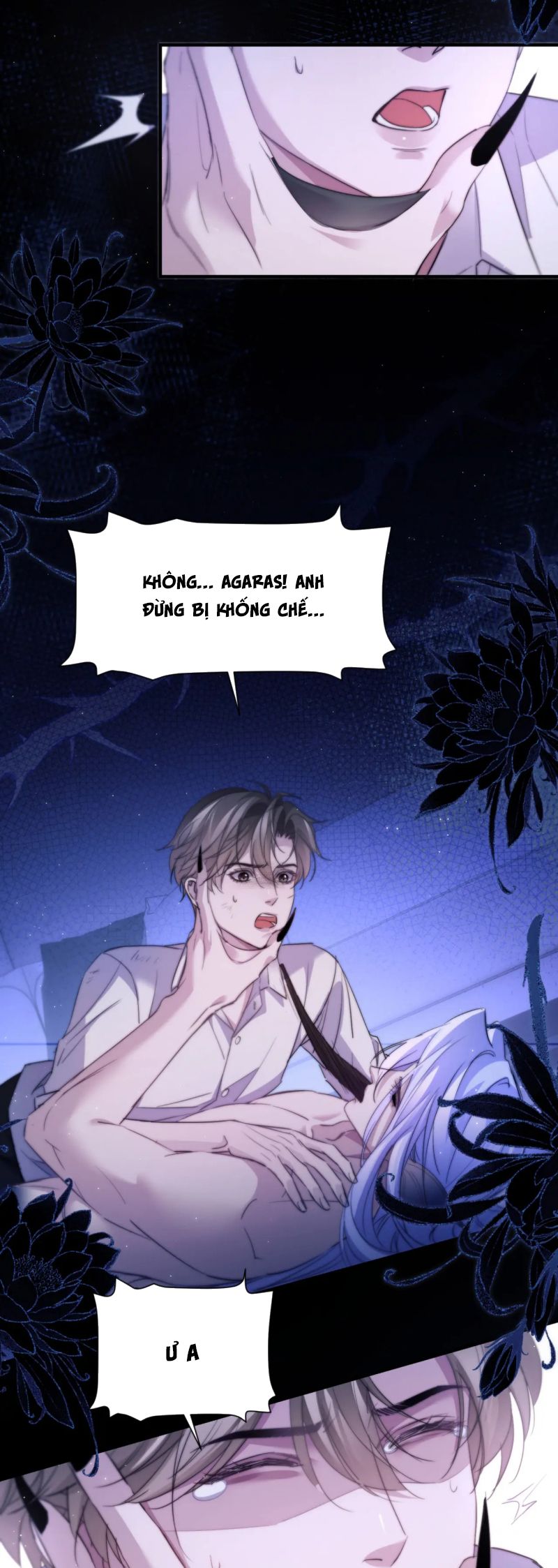 Desharow Nhân Ngư Chap 101 - Next Chap 102