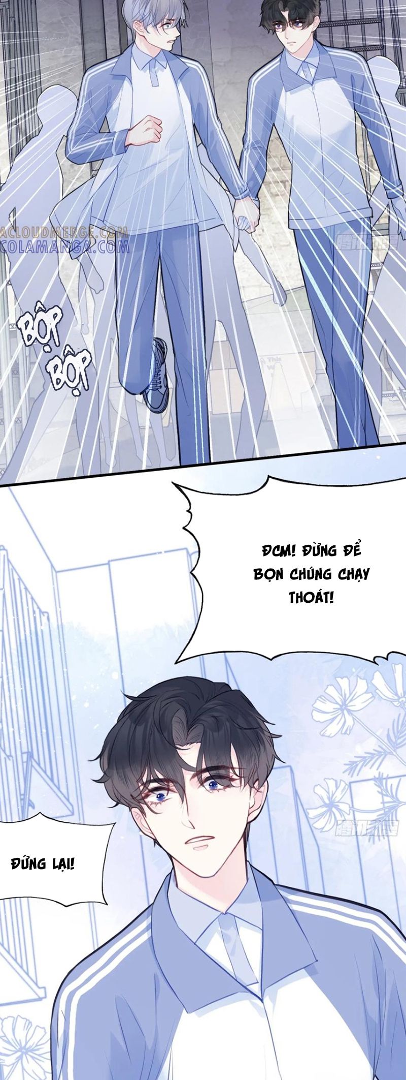 Anh Ấy Chưa Từng Rơi Xuống Chap 129 - Next Chap 130