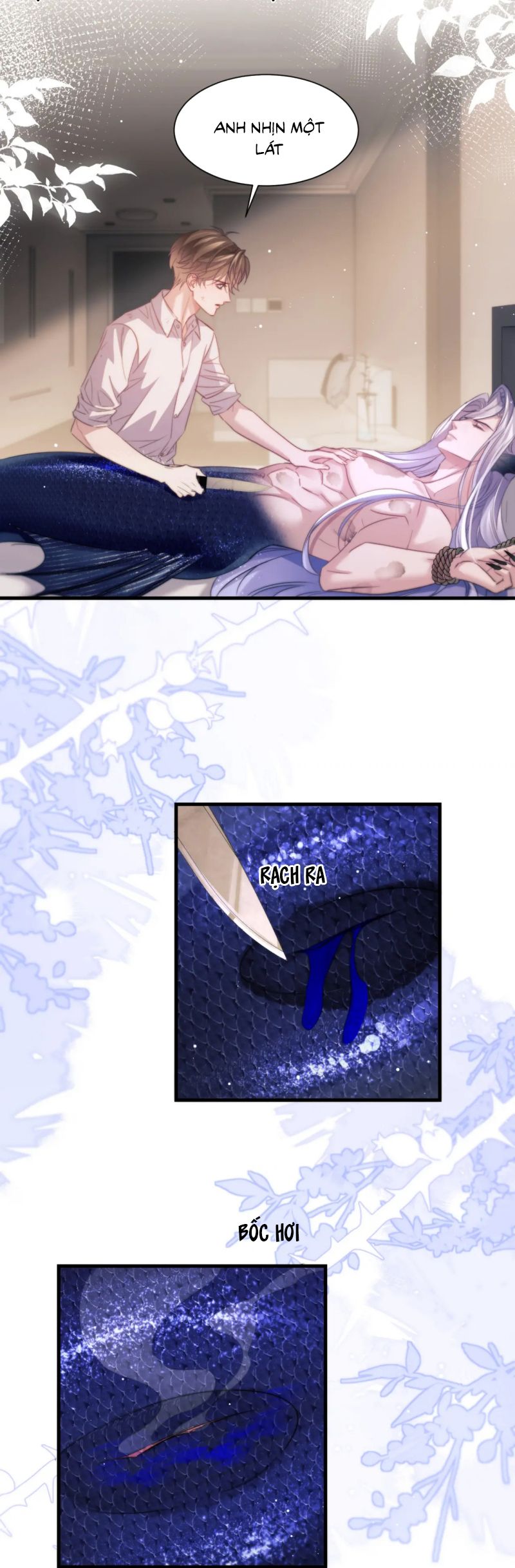 Desharow Nhân Ngư Chap 102 - Next Chap 103