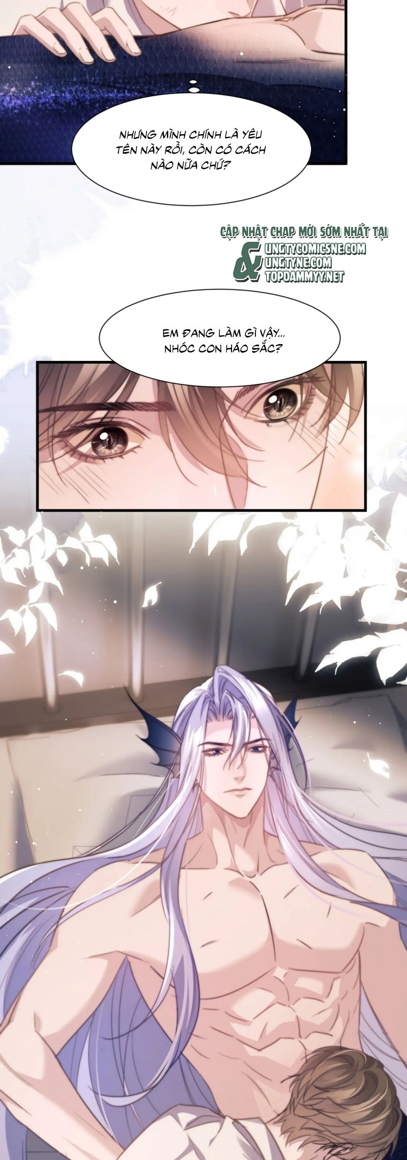 Desharow Nhân Ngư Chap 102 - Next Chap 103