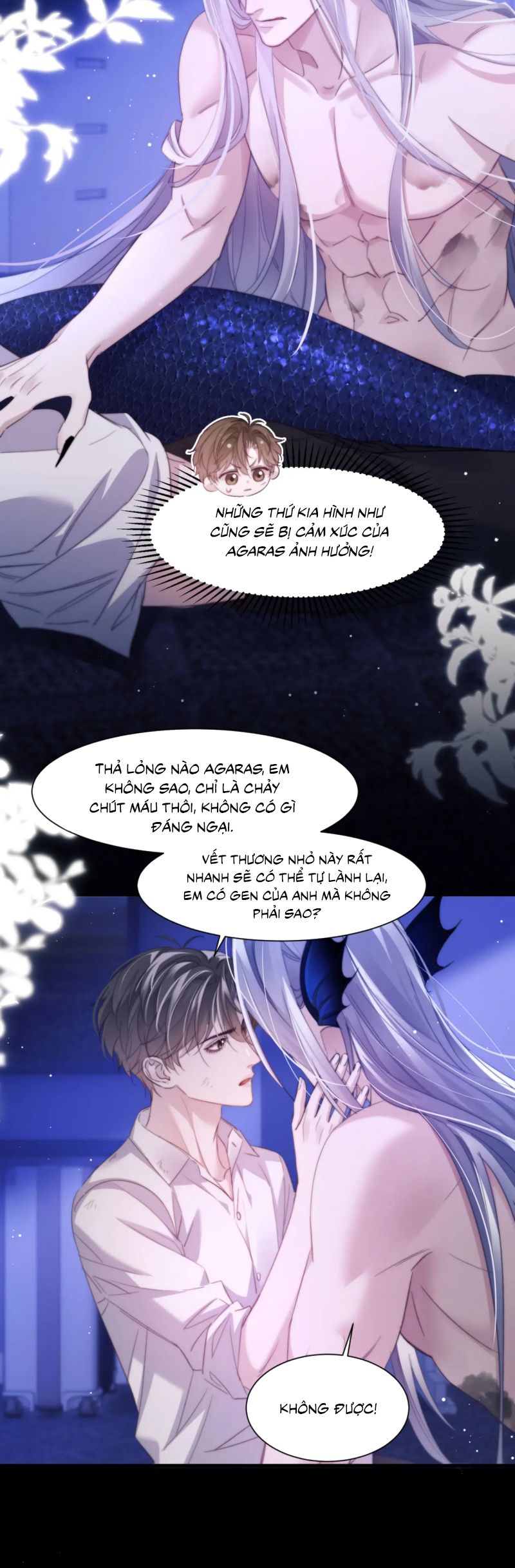 Desharow Nhân Ngư Chap 102 - Next Chap 103