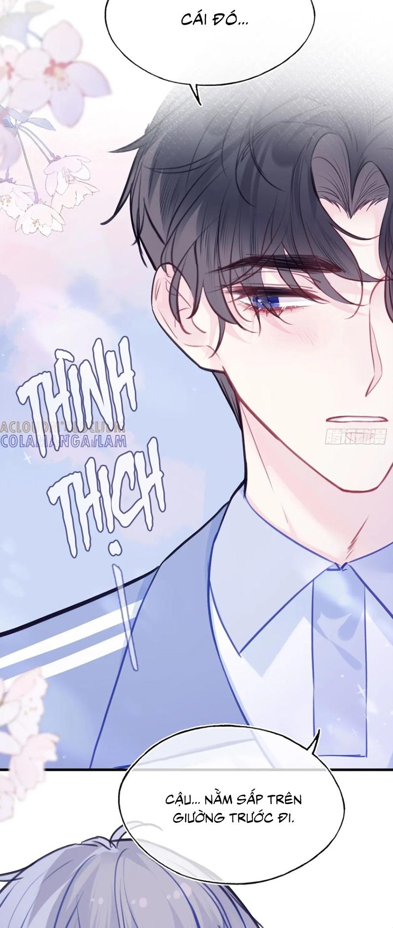 Anh Ấy Chưa Từng Rơi Xuống Chap 130 - Next Chap 131