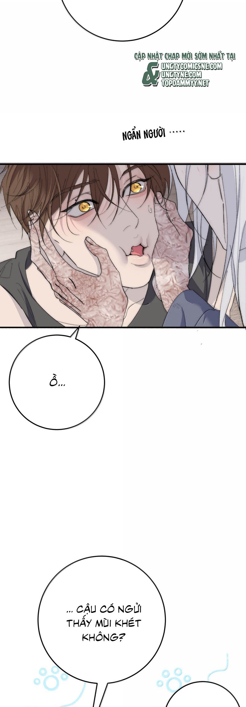 Mỗi Ngày Đều Muốn Làm Bệnh Kiều Vương Tử Xấu hổ Muốn Độn Thổ Chap 29 - Trang 4