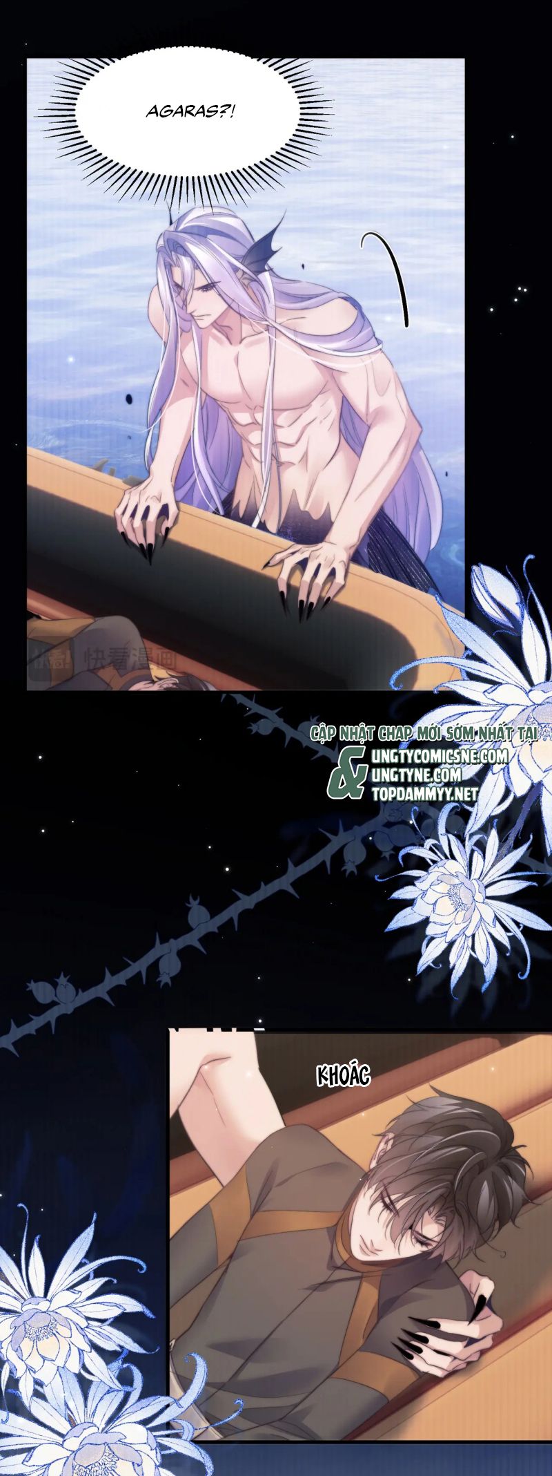 Desharow Nhân Ngư Chap 103 - Next Chap 104