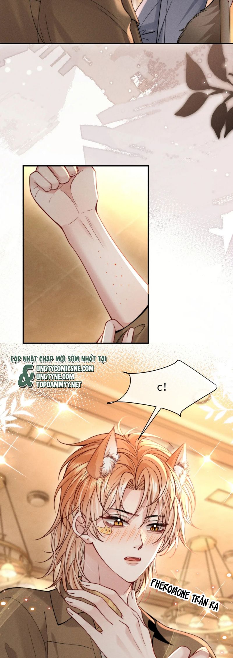 Tật Xấu Nuông Chiều Chap 47 - Trang 3