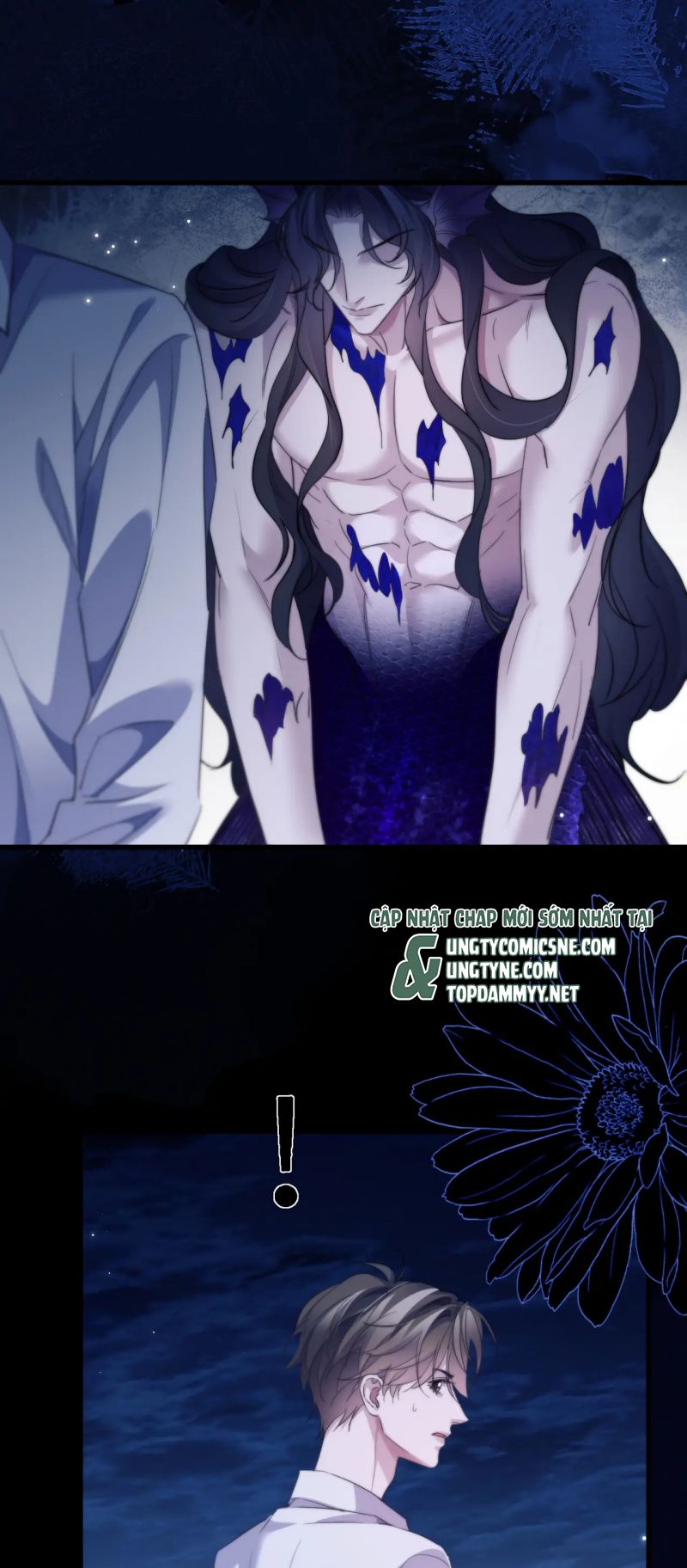 Desharow Nhân Ngư Chap 104 - Next Chap 105