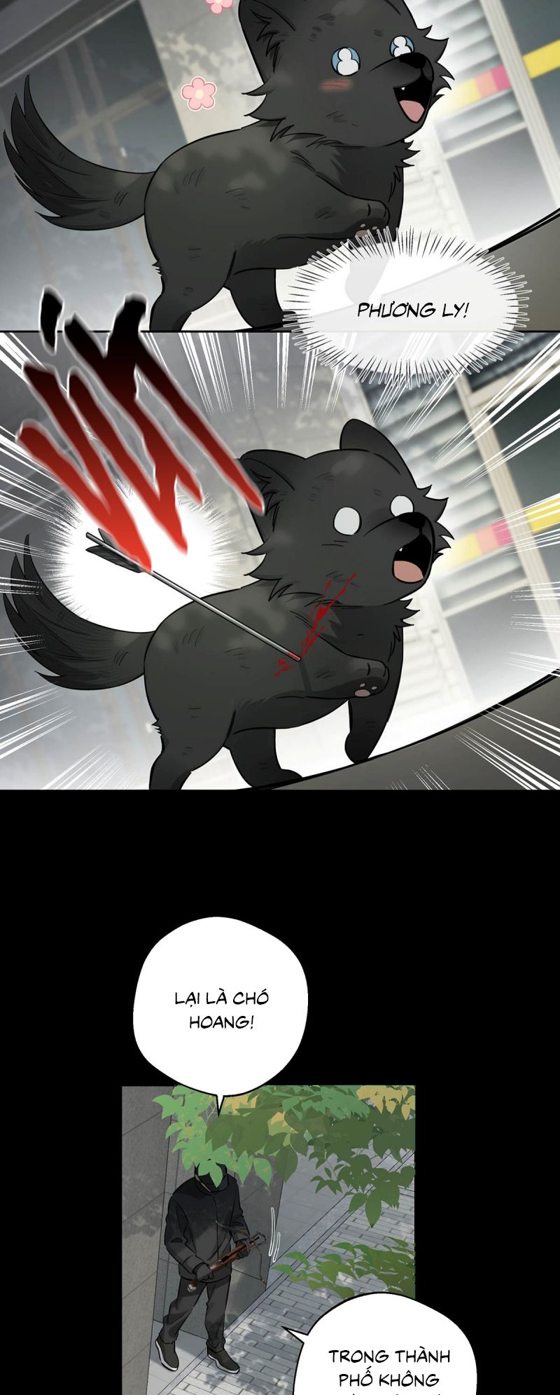 Lang Quân Muốn Chịu Trách Nhiệm Với Tôi Chap 15 - Next Chap 16