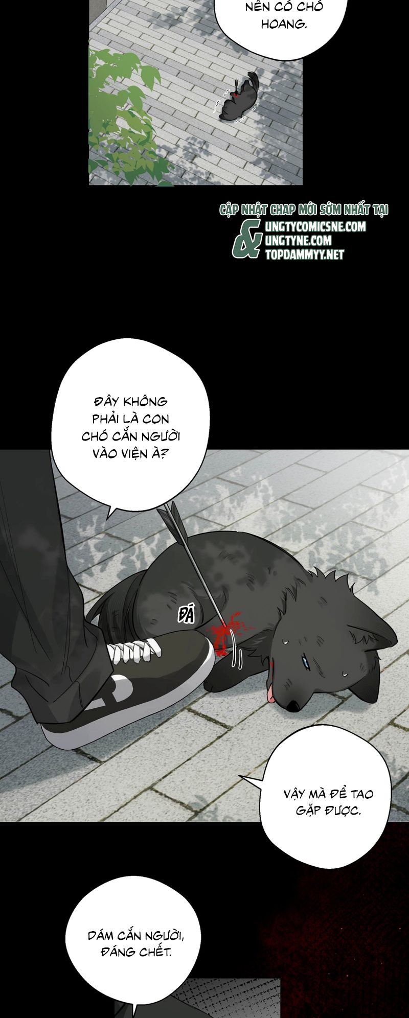Lang Quân Muốn Chịu Trách Nhiệm Với Tôi Chap 15 - Next Chap 16