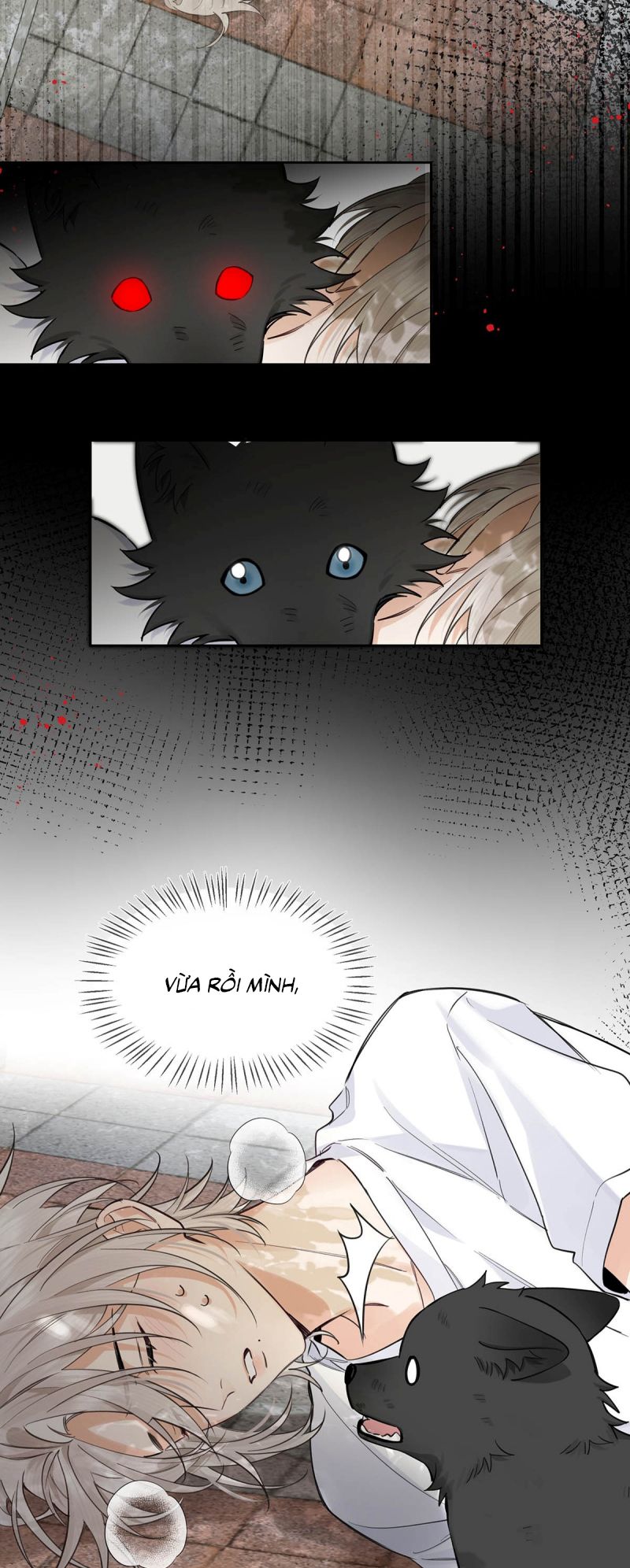 Lang Quân Muốn Chịu Trách Nhiệm Với Tôi Chap 15 - Next Chap 16