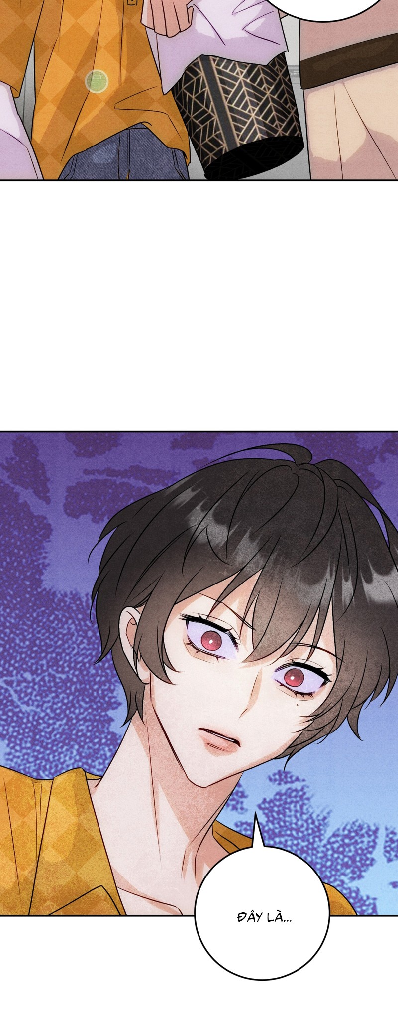 Xuyên Thành Con Ngỗng Vàng Của Đại Lão Alpha Chap 15 - Next Chap 16