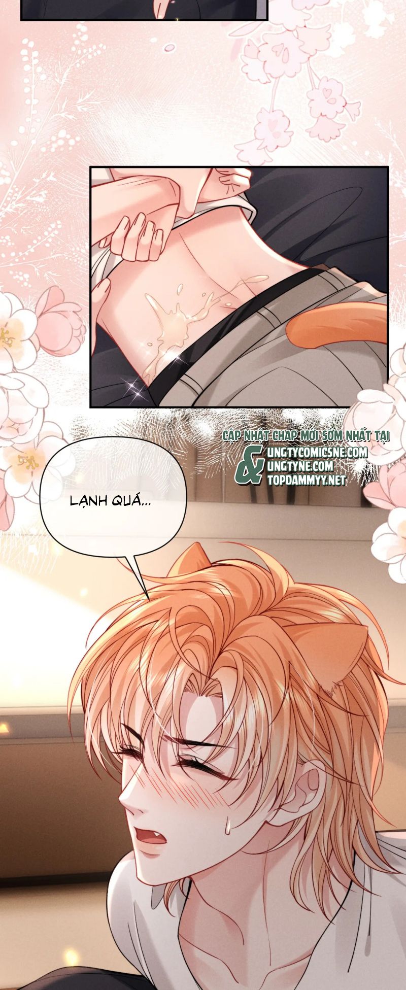Tật Xấu Nuông Chiều Chap 49 - Trang 3