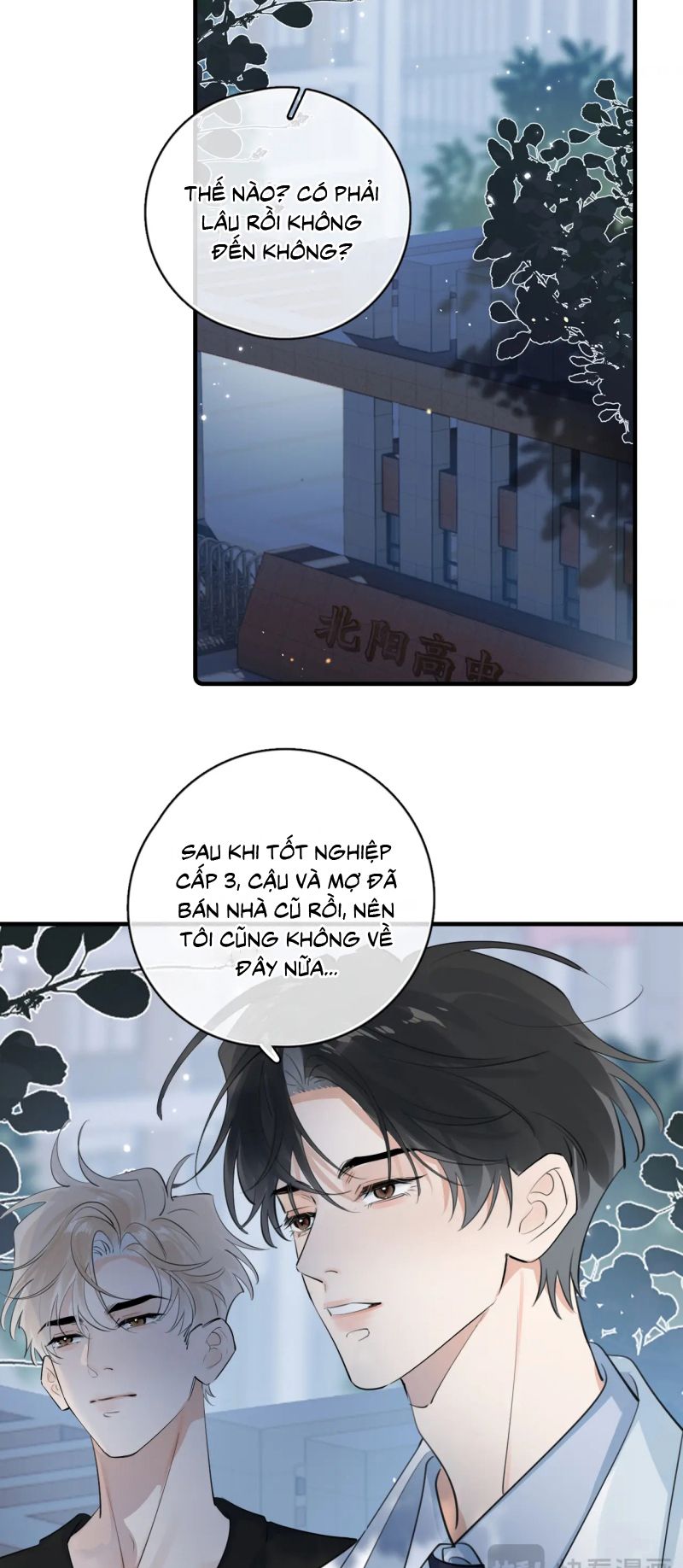Cậu Vượt Giới Rồi Chapter 82 - Next Chapter 83