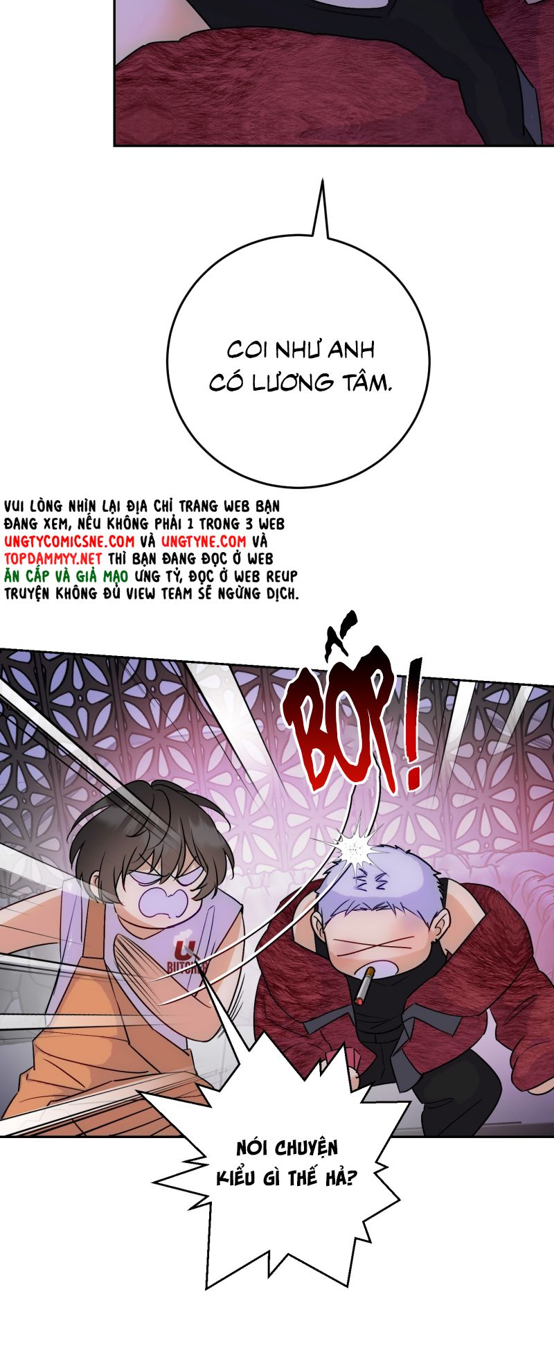 Xuyên Thành Con Ngỗng Vàng Của Đại Lão Alpha Chap 17 - Next Chap 18
