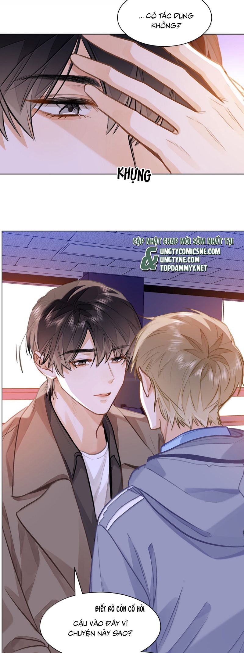 Tôi Thích Tin Tức Tố Của Cậu Chap 83 - Trang 4