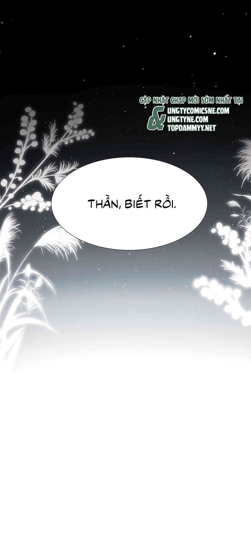 Kim Phong Ngọc Lộ Chap 29 - Trang 4