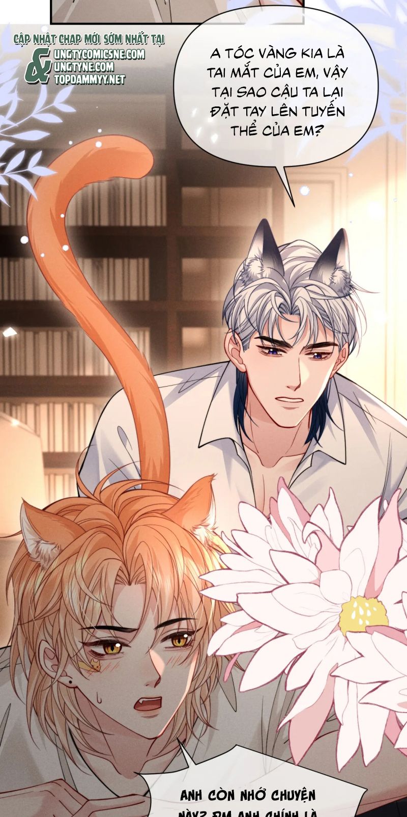 Tật Xấu Nuông Chiều Chap 50 - Trang 3