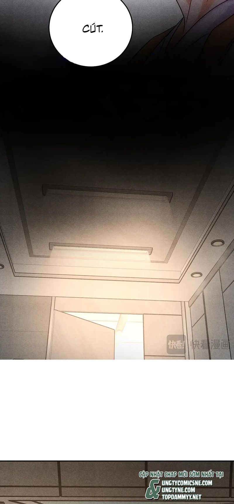 Xuyên Thành Con Ngỗng Vàng Của Đại Lão Alpha Chap 18 - Trang 2