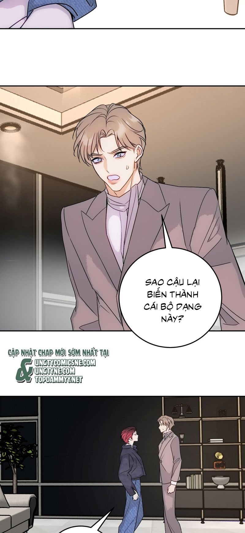 Xuyên Thành Con Ngỗng Vàng Của Đại Lão Alpha Chap 19 - Trang 2