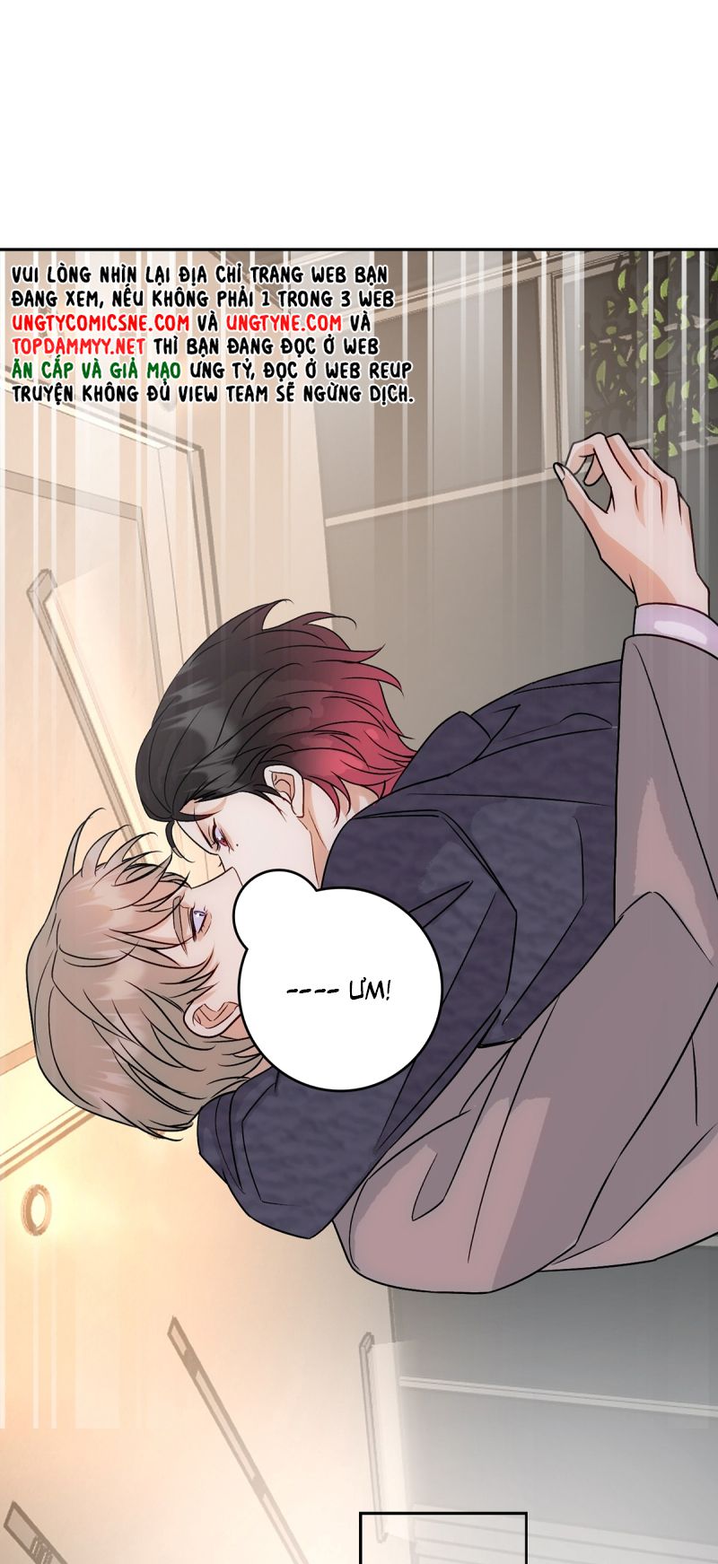 Xuyên Thành Con Ngỗng Vàng Của Đại Lão Alpha Chap 19 - Trang 2