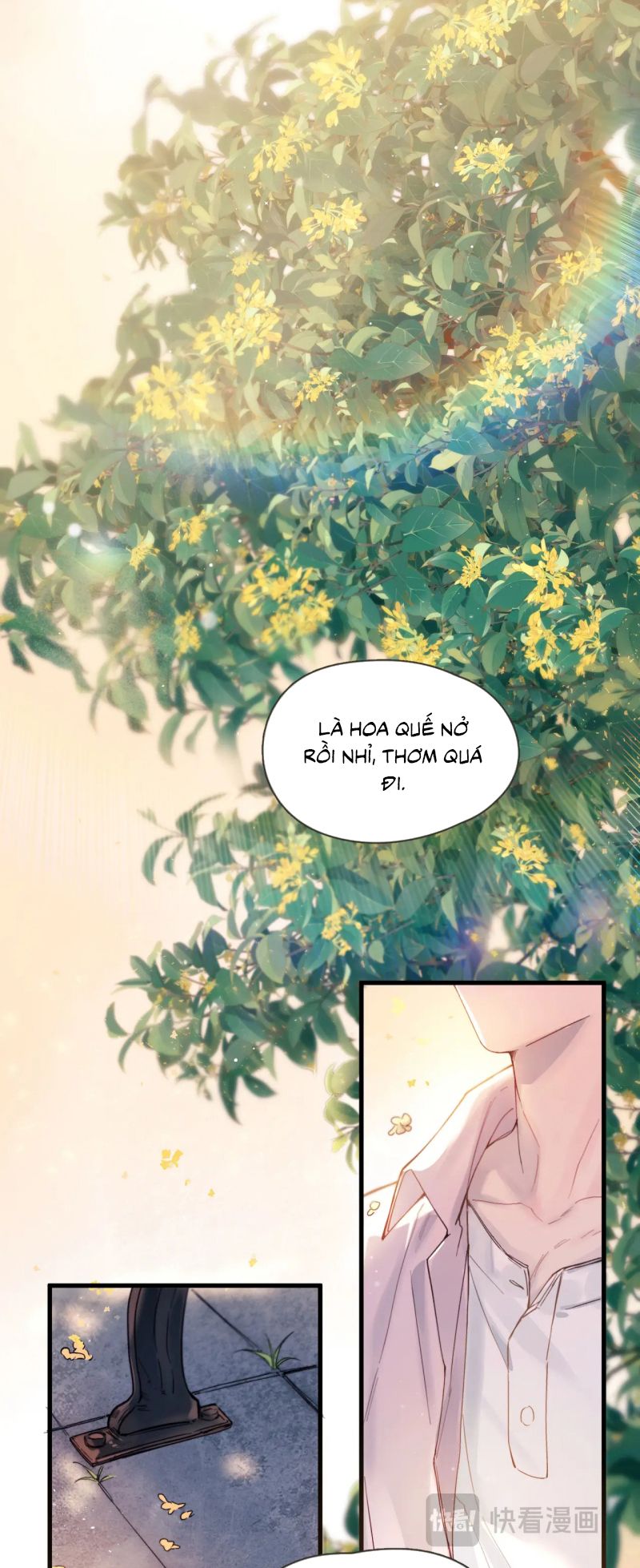 Tinh Vệ Chap 37 - Trang 3