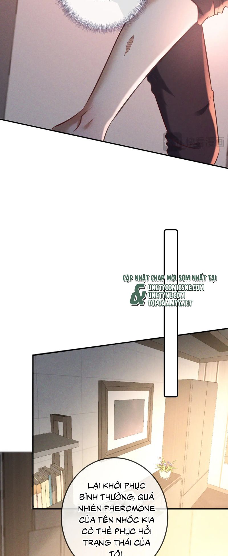 Đêm Tình Yêu Và Sát Ý Chap 77 - Trang 3