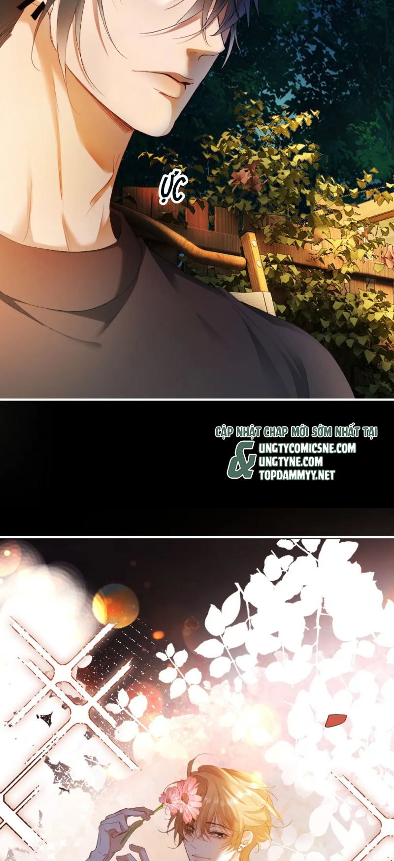 Tiểu Thiếu Gia Dựa Vào Mỹ Mạo Hoành Hành Toàn Hệ Thống Chap 94 - Trang 3