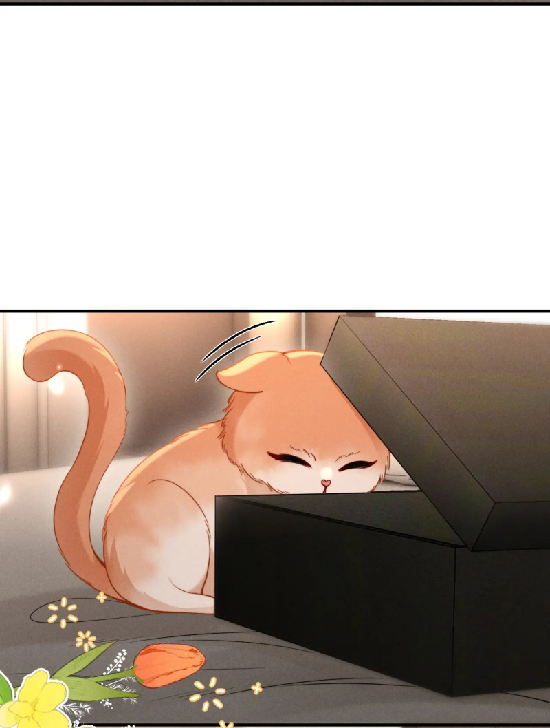 Tật Xấu Nuông Chiều Chap 54 - Trang 3